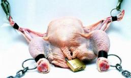 Xem tranh vui để cười giữa bộn bề tết