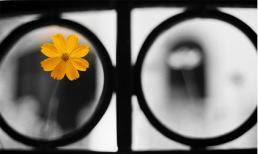 Án tù 10 năm và ước mơ quay về