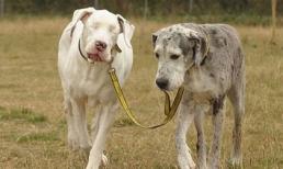 Chọn bạn để tránh "đạn" 