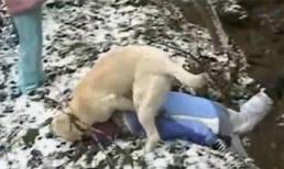 Những tình huống hài hước trong đời thường