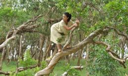 Kim Thư bế bụng bầu leo cây