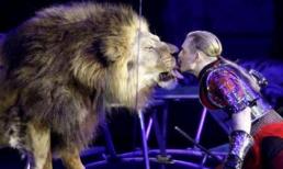 Anh hề trong sở thú 