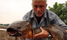 Những thủy quái rùng rợn trên khắp thế giới