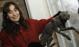 Xác ướp mèo bất ngờ rơi từ trần nhà xuống