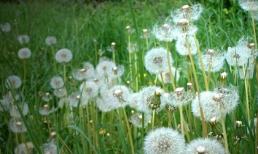 Thứ sáu của bạn (6/1)