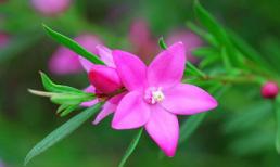 Chủ nhật của bạn (8/1)