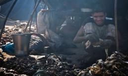 Thói quen ăn thịt rữa của dân nghèo Pakistan