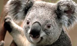 Thứ ba của bạn (10/1)