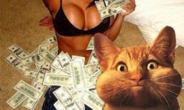 Thưởng Tết, muốn cười mà không khóc được