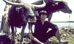 6 phim Việt kiều vang danh thế giới