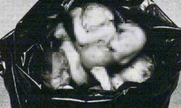 Ký ức kinh hoàng của nữ y tá giật nước bồn cầu cuốn trôi xác thai nhi (P1)