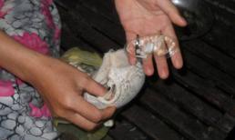 Kinh hãi áo ngực TQ chứa “thuốc lạ”