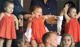 Harper "nhảy nhót nhắng nhít", cổ vũ bố trên khán đài