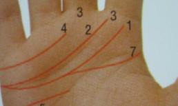 Bật mí đường tình yêu trong lòng bàn tay