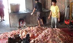 Kinh hoàng “chế” dầu ăn từ dầu thải