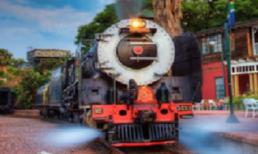 Sex ngay sát đường ray khiến cả đoàn tàu phải phanh gấp