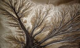 Kỳ lạ những dòng sông đẹp như tranh vẽ