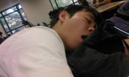 Hài hước hình ảnh sinh viên ngủ trong thư viện