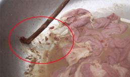 'Sinh vật lạ' lúc nhúc trong lòng lợn