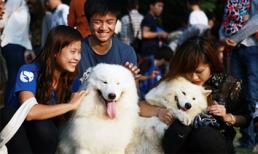 Teen Hà thành rủ nhau khoe cún cưng