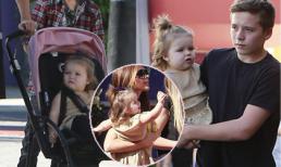 Ngắm điệu bộ "hóng hớt" cực yêu của Harper