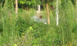 Giữa ban ngày, lôi thiếu nữ vào bụi hiếp dâm