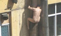 Hài hước, trộm và chủ nhà "trần như nhộng" chạy khắp xóm