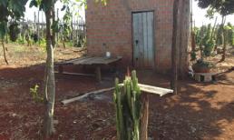 Vén màn bí mật em giết anh ruột rồi tổ chức đám ma phi tang