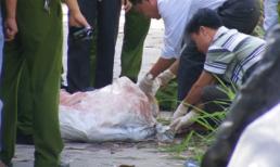 Vụ giết người chặt xác ở Đồng Nai: Bắt 1 nghi can nhí