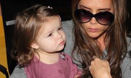 Harper ngày càng giống búp bê