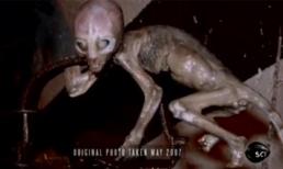 Sinh vật dị thường xuất hiện năm 2007 lại gây xôn xao