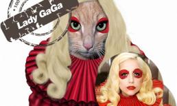 "Phì cười" với khoảnh khắc động vật "đội lốt" sao