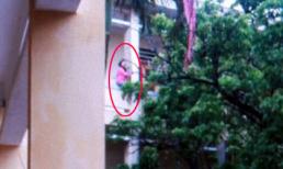 Cứu sống cô gái trẻ bị cấm yêu, đòi tự tử ở Hải Phòng