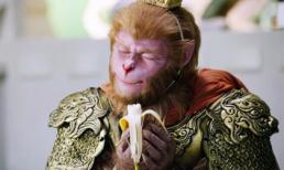 Những hình ảnh ngộ nghĩnh của tân Mỹ Hầu Vương