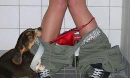 Hài hước : Khi thần tình yêu phóng tên đi lung tung!!!