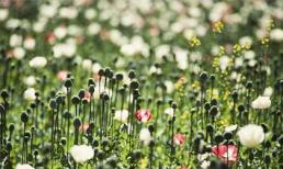 Thứ ba của bạn (14/2) 