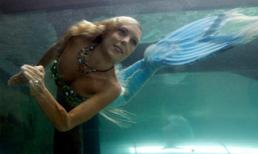 Nàng tiên cá xuất hiện, công nhân bỏ chạy