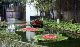 Choáng ngợp với "phòng học tình yêu" đầu tiên ở Hà Nội