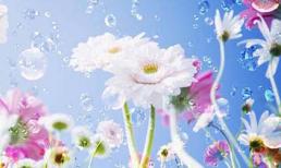 Thứ năm của bạn (16/2) 