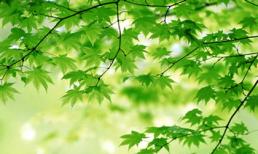 Thứ bảy của bạn (18/2) 