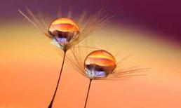 Tuần mới của bạn (20/2 - 26/2/2012)