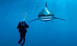 Ảnh đẹp thiên nhiên tháng 2/2012