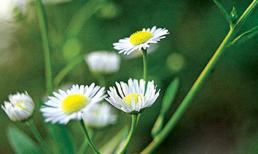 Thứ ba của bạn (21/2) 