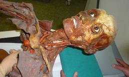 Hãi hùng với xác ướp vẫn nguyên vẹn sau 2 thế kỷ