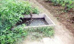 Vượt ngục chấn động ở VN:"Lặn" xuống hố phân hơn 10 giờ để trốn tù (I)