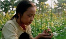 Loay hoay đỏ mắt đi tìm diễn viên nhí 