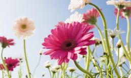 Thứ Năm của bạn (23/2/2012)