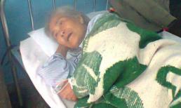 Quảng Bình: Cụ bà 83 tuổi có tinh hoàn