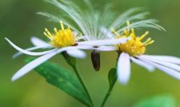 Thứ hai của bạn (27/2) 