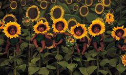 Thứ tư của bạn (29/2)